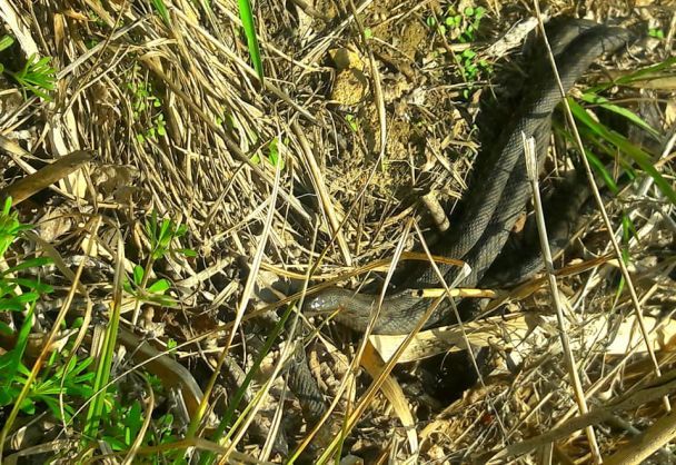 Фото: Тетяна Миросенко