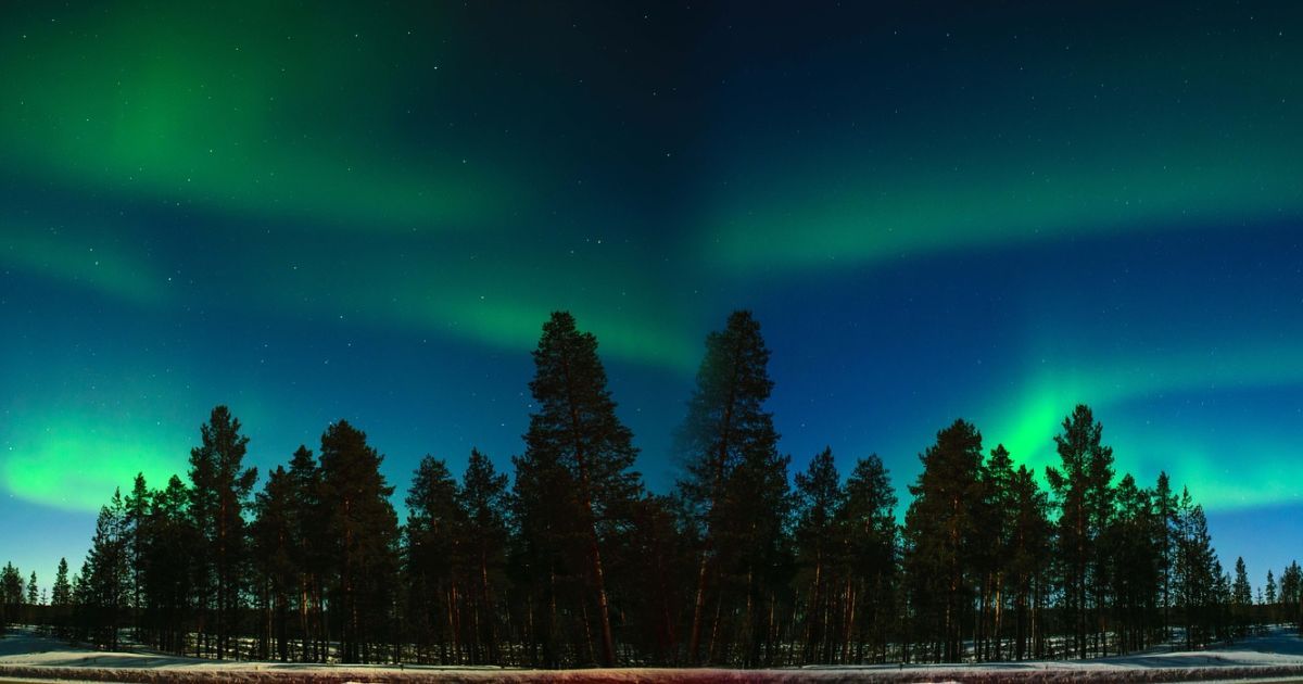 Ученые сняли на видео 