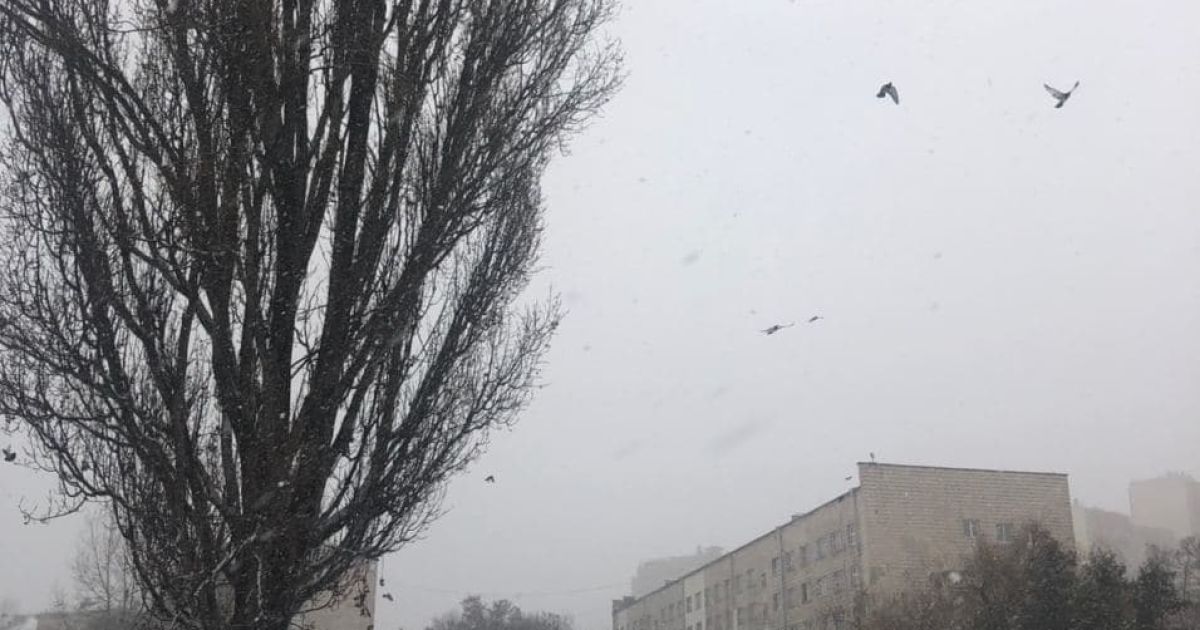 Улица Васильковская, Голосеевский район / © ТСН.ua