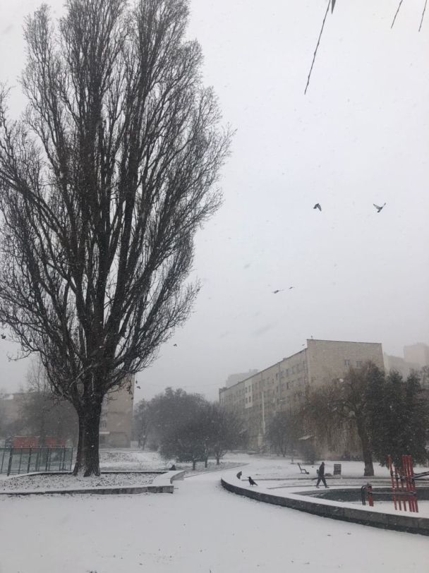 Улица Васильковская, Голосеевский район / © ТСН.ua