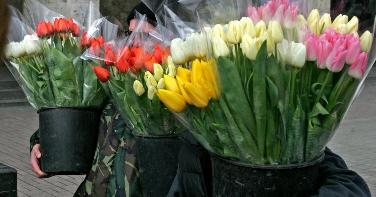 Табу на цветы и акция "Свободу Надежде". Как депутаты собираются отмечать 8 Марта