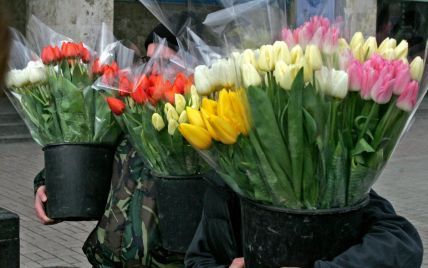Табу на цветы и акция "Свободу Надежде". Как депутаты собираются отмечать 8 Марта