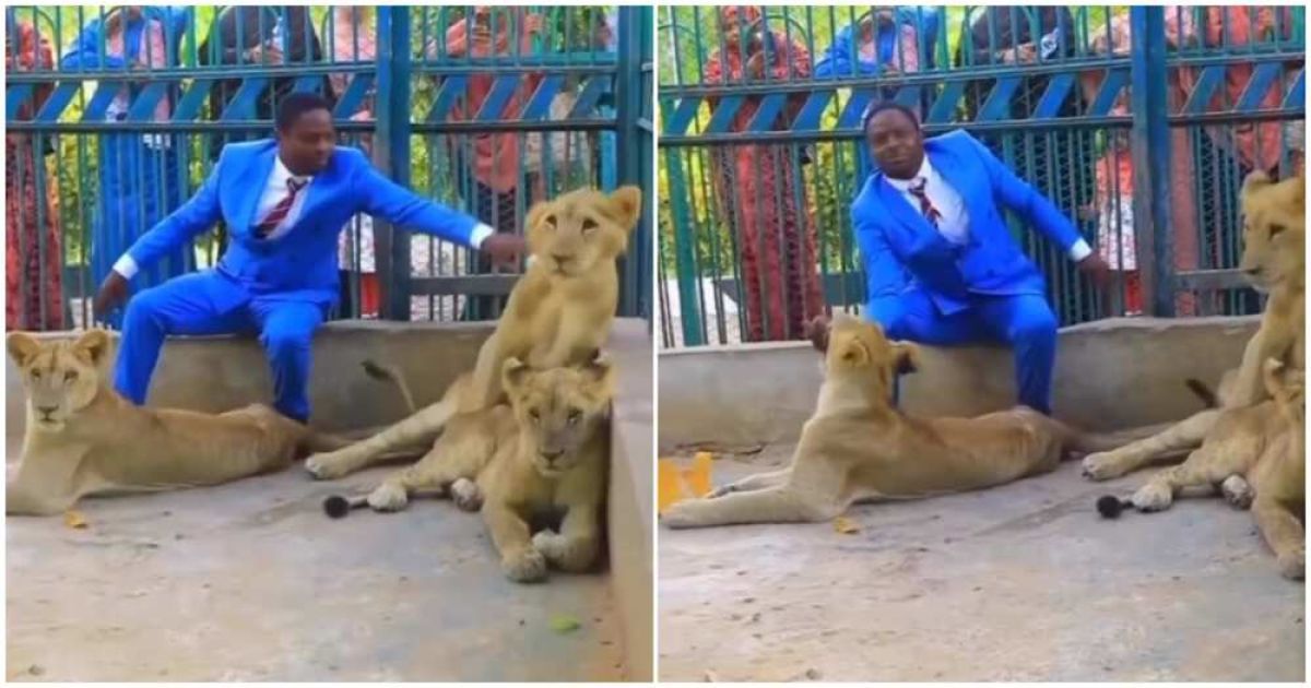 Video of African Pastor Climbing into Lion Cage Goes Viral, but it Turns Out He’s a Zookeeper