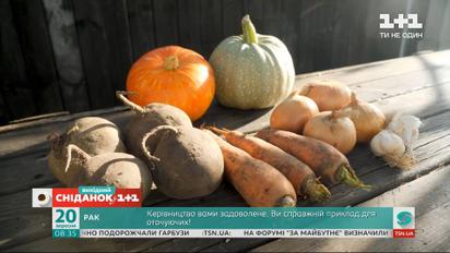 Как хранить овощи и фрукты – Сніданок на дачі