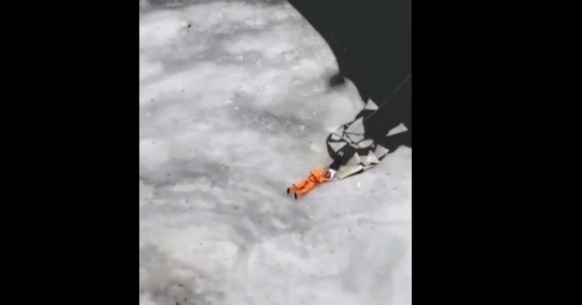 У Києві врятували жінку, яка ледь не потонула, витягуючи з води свого собаку: відео