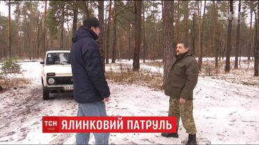 Лесники Киевской области устроили охоту на елочных браконьеров