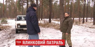 Лісники Київщини влаштували полювання на ялинкових браконьєрів