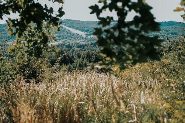 Народні прикмети 6 серпня / © unsplash.com