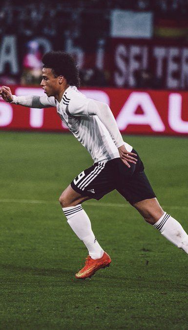 Фанаты сборной Германии скандировали нацистское приветствие в адрес своих игроков - Bild