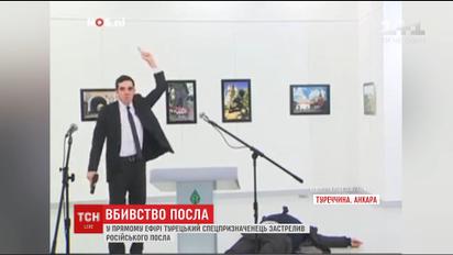 Радбез ООН визнав вбивство російського посла терактом