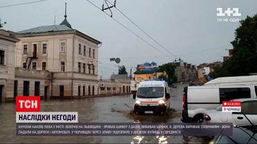 Новости Украины: из-за урагана в западных регионах 120 населенных пунктов остались без света