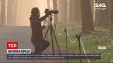 Новости мира: в лесу неподалеку Бельгийского города Галле расцвели колокольчики