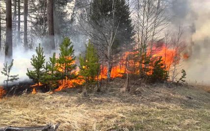 ДСНС оголосила найвищий ступінь пожежонебезпеки – ліси можуть спалахнути як сірники
