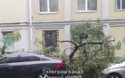 Дерево раздавило три автомобиля: в Одессе непогода натворила беды