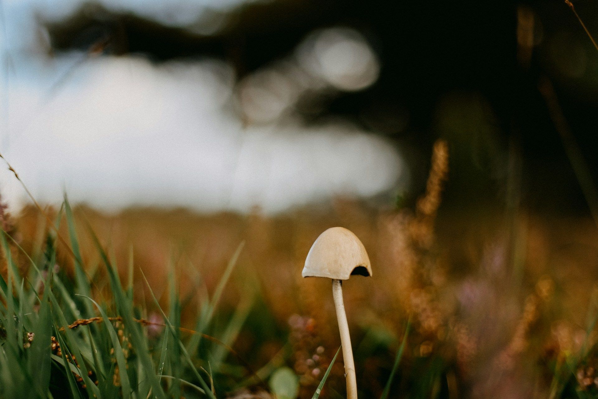 Hapօднí пpикмeти 30 вepecня / © Unsplash