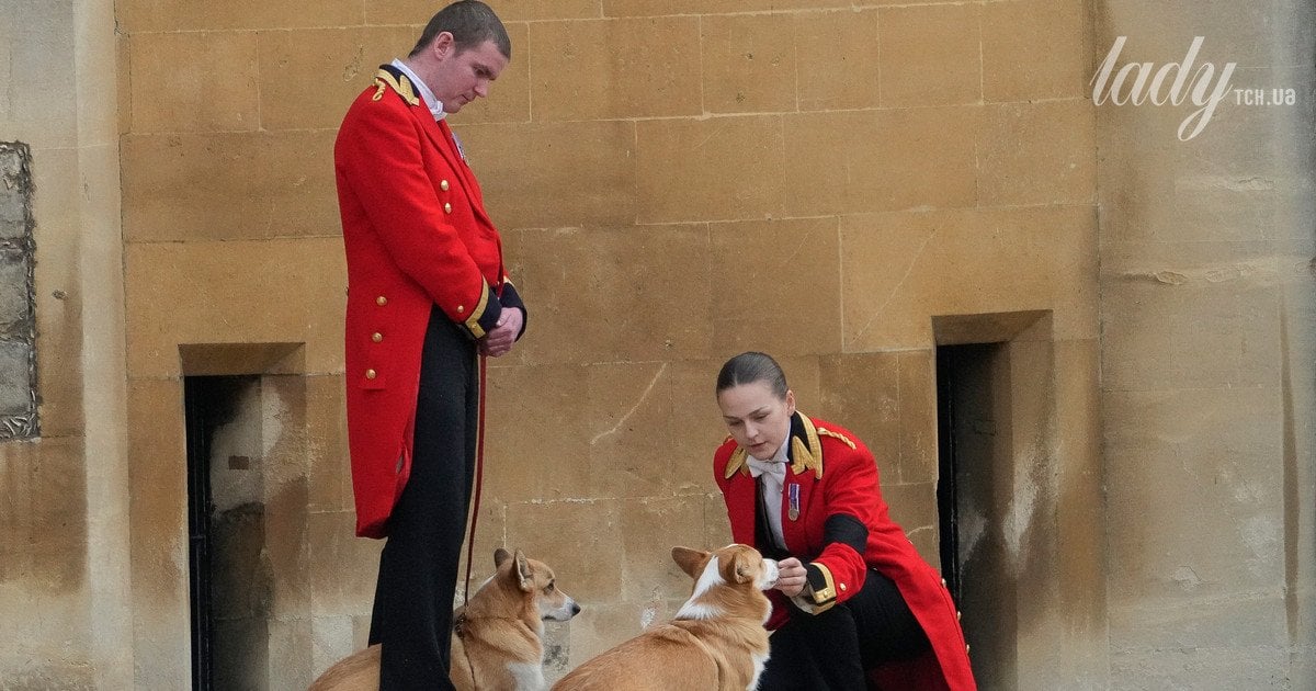 Коргі королеви Єлизавети II