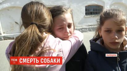 У школі на очах у дітей жорстоко вбили собаку, який зайшов на територію закладу