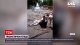 Новини України: у Дніпрі сухе дерево впало на 61-річного чоловіка і зламало йому обидві ноги