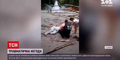 Новини України: у Дніпрі сухе дерево впало на 61-річного чоловіка і зламало йому обидві ноги