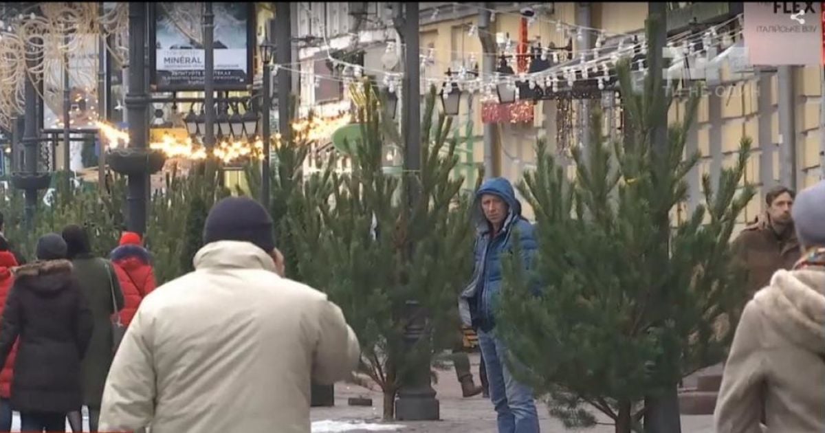 Срубленные елки на фонарных столбах. В Сети возмущены рождественскими "украшениями" в центре Киева