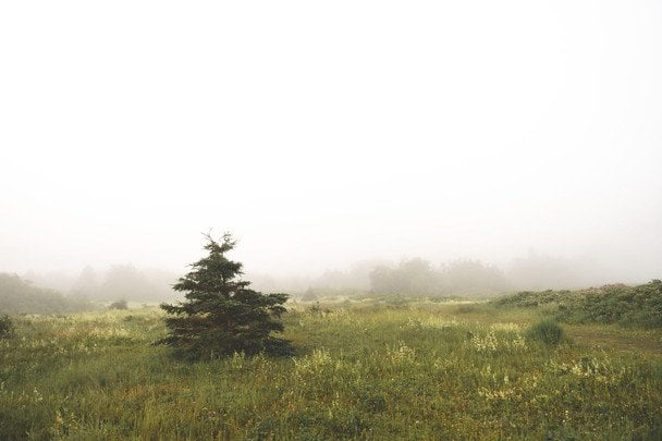 Народні прикмети 5 серпня / © pexels.com
