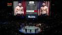 UFC 223. Хабіб Нурмагомедов - Ел Яквінта. Відео бою