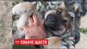 Фронтовой пес Бармалей переехал в столицу