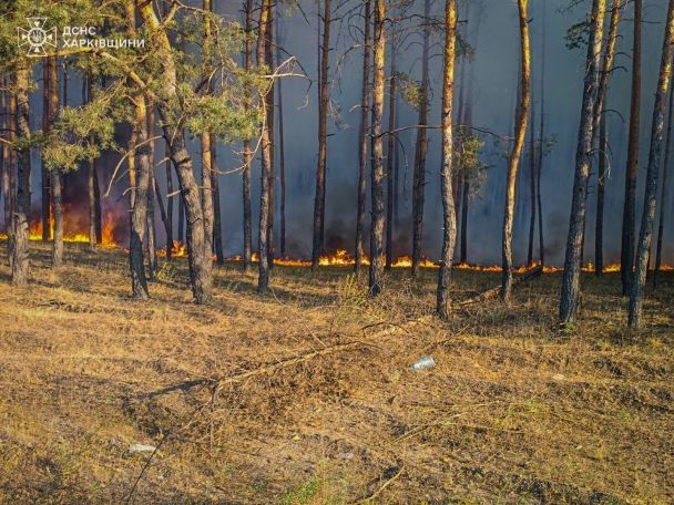 Пожежі на Харківщині Фото: ДСНС України