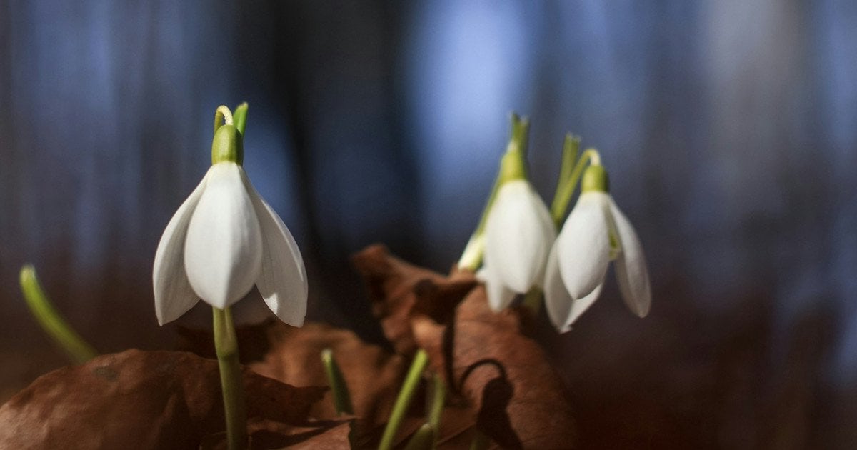 Какой сегодня, 10 марта, день ангела