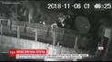 В США мужчина упал в бассейн с аллигаторами, когда старался скрыться с места ограбления