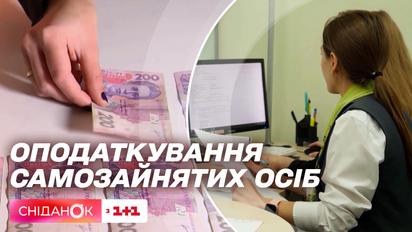 Новая система налогообложения доходов от подработок: объяснение законопроекта