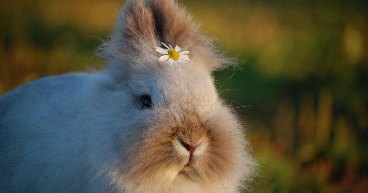 Какой сегодня, 26 апреля, день ангела