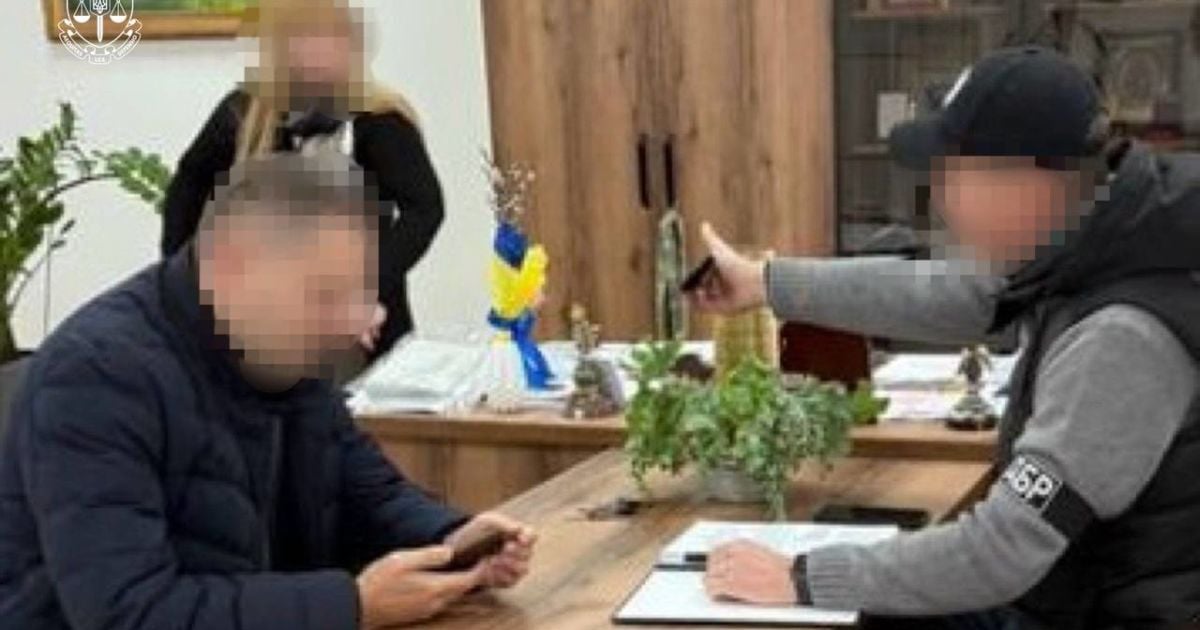 Заступницю головного лікаря Львівської обласної МСЕК викрито на декларуванні недостовірної інформації / Фото: Офіс генпрокурора
