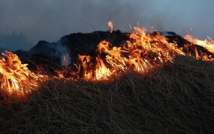 На Буковині під час спалювання сухої трави задихнувся і помер чоловік