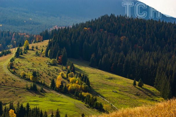 Турист травмировался и застрял в горах Польши: как украинская ГСЧС спасла мужчину