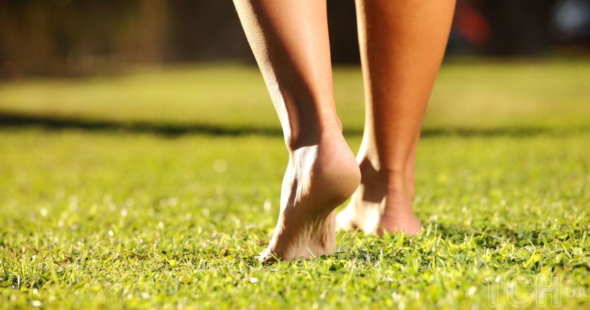 Чем полезна ходьба босиком по траве?