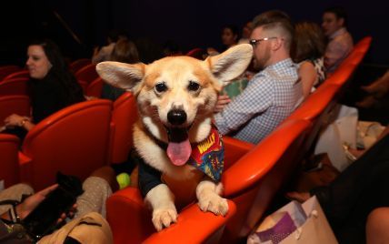 Філософія "pets friendly" у сервісі і дружні до тварин офіси: кінологи прогнозують тренди на 2021 рік