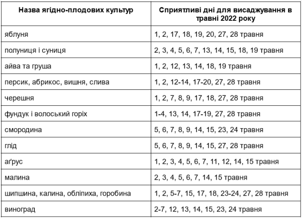Варіанти дат для початку посадки помідорів у травні