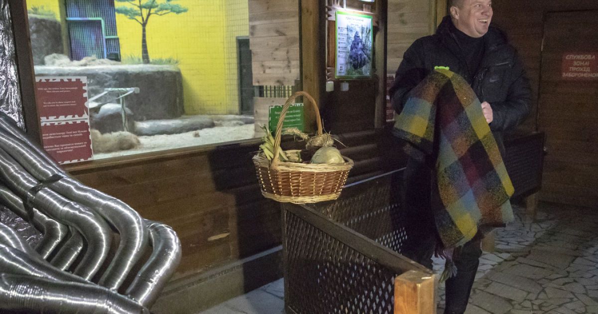 Як Київський зоопарк переживає холоди та постійні відключення світла