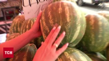 Арбузы и дыни уже здесь! А вы уже лакомились?