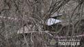 Розкидане парком у Львові розчленоване тіло належать зниклій жінці: підозрюваного у вбивстві затримали