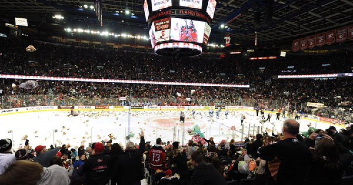 Teddy Bear Toss 2015 зібрав 28,815 тисяч плюшевих ведмедиків. / © twitter.com/WHLHitmen