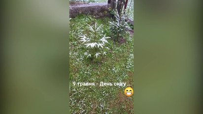 9 ই মে কার্পাথিয়ানগুলিতে তুষার পড়েছিল
