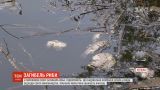 Рыба массово погибла в парковом озере Черновцов