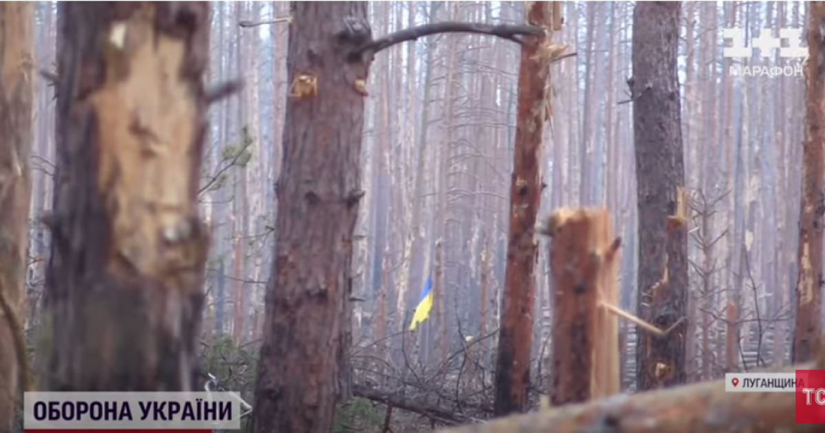 Прапор України в Серебрянському лісі