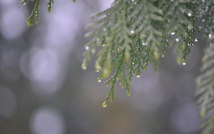 Резкое похолодание во Львовской области: когда ожидать непогоду