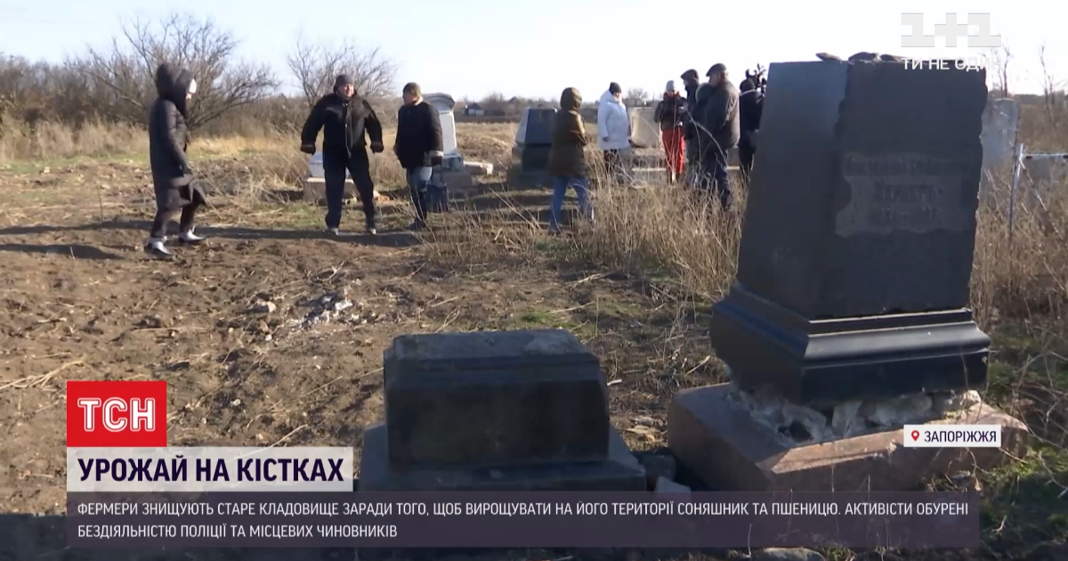 Врожай на кістках: у Запорізькій області фермери знищують єврейське кладовище