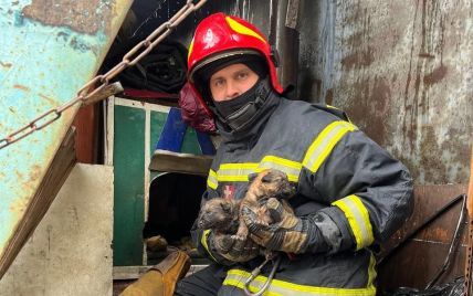 В Киеве спасатели вынесли из огня семь маленьких щенков