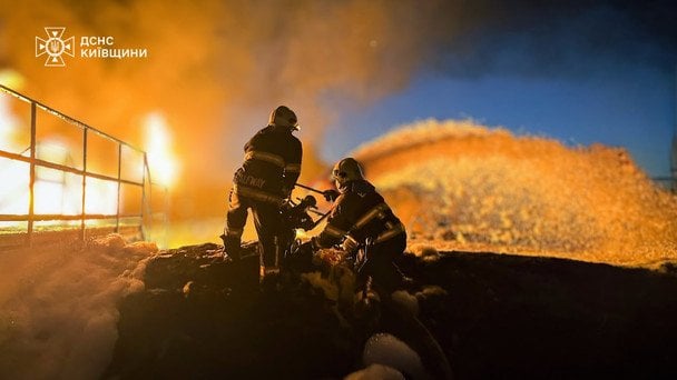 Гасіння пожежі під Києвом / © ДСНС