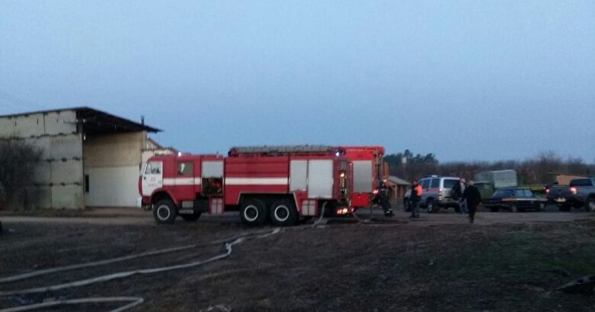 На Київщині у пожежі загинуло четверо коней